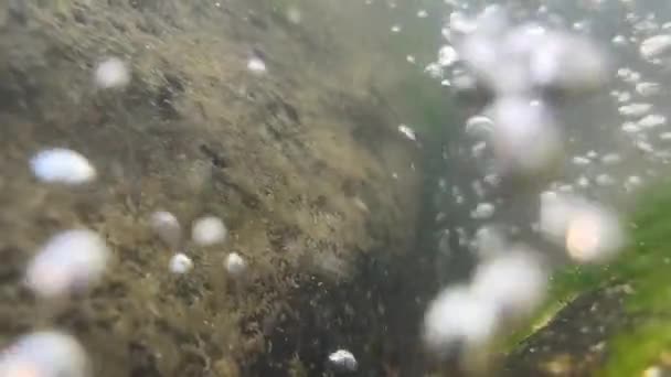 Langzame Beweging Van Luchtbellen Die Van Rivierbodem Naar Het Wateroppervlak — Stockvideo