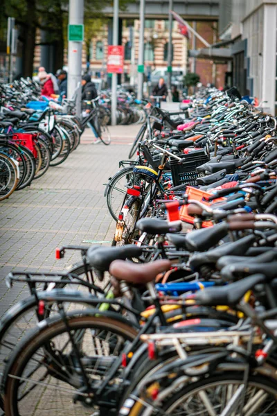 Bicycles parked in the streets of Amsterdam, the Netherlands. Green and sustainable transport. Alternative transportation.