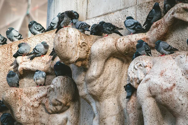 在荷兰阿姆斯特丹 一群鸽子栖息在一座雕像上 — 图库照片