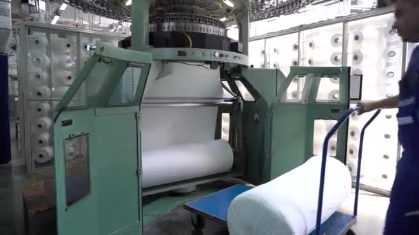 Indústria Têxtil Trabalhador Carrega Rolo Tecido Carrinho — Vídeo de Stock
