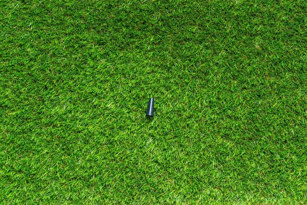 Stubborn Grass Weed On Field Stock Photo 2272647941