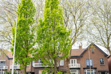 Modern aile evleri olan Hollanda Suburban bölgesi, Hollanda 'da yeni inşa edilmiş modern aile evleri, Hollanda aile evleri ve apartmanlar. Hollanda 'da, modern evle yeni inşa edilmiş sokaklar