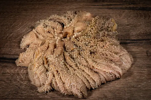 Çiğ inek midesi. Evcil köpekleri beslemek için işkembe. Arta kalan ot ve samanla taze mide. Çiğ besleme hayvanları. Yukarıdan görüntüle.