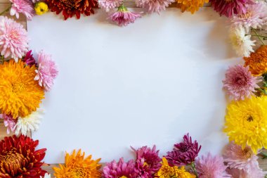Chrysantemum sonbahar buketi fotokopi alanı beyaz kağıt renkli maket