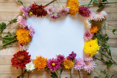 Chrysantemum sonbahar buketi fotokopi alanı beyaz kağıt renkli maket