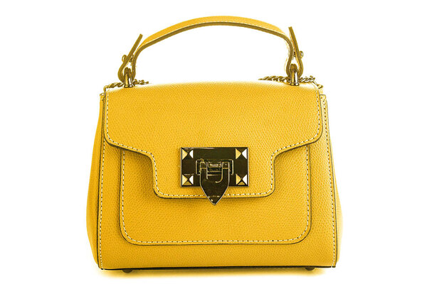 Bag clutch fashion glamour style classic retro isolated on white leather