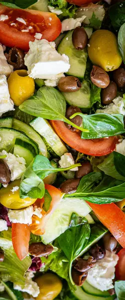 Taze domatesli sağlıklı sebze salatası, yeşil yapraklı karışım ve sebze. Koyu arkaplanda üst görünüm. Diyet menüsü