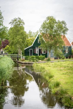 Hollanda tipik manzarası. Hollanda 'nın Zaanse Schans köyünde mavi bulutlu gökyüzüne karşı eski evleri olan geleneksel bir yel değirmeni. Ünlü turizm mekanı. Yeşil çimlerde otlayan koyunlar.
