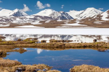 Kırgızistan 'ın Issyk Kul Bölgesinde Barskoon (Arabel) Syrts
