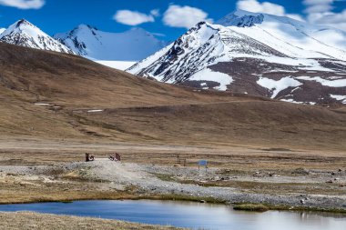 Kırgızistan 'ın Issyk Kul Bölgesinde Barskoon (Arabel) Syrts