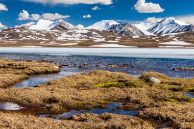 Kırgızistan 'ın Issyk Kul Bölgesinde Barskoon (Arabel) Syrts