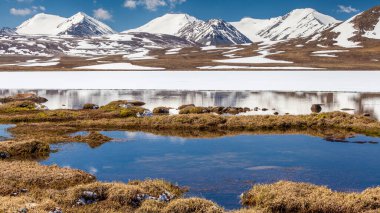 Kırgızistan 'ın Issyk Kul Bölgesinde Barskoon (Arabel) Syrts