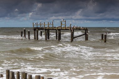 Uniescie 'deki Polonya Baltık Denizi manzarası güzelmiş..
