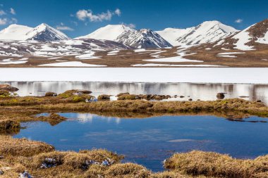 Kırgızistan 'ın Issyk Kul Bölgesinde Barskoon (Arabel) Syrts