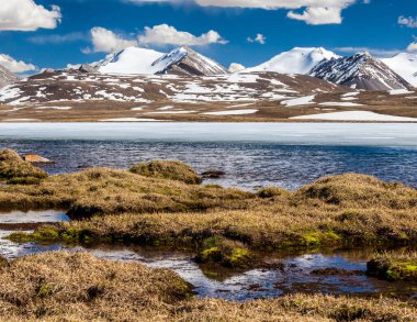 Kırgızistan 'ın Issyk Kul Bölgesinde Barskoon (Arabel) Syrts