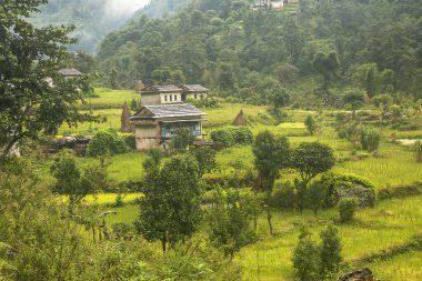 KENJA, NEPAL - CIRCA ECTOBER 2013: Kenya yolu üzerindeki köy Ekim 2013 dolaylarında, Kenya.