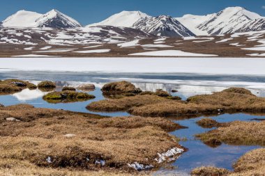 Kırgızistan 'ın Issyk Kul Bölgesinde Barskoon (Arabel) Syrts