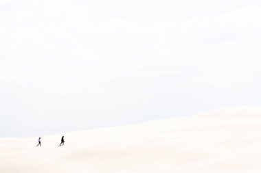 Baltık Denizi a a a a a a a a 