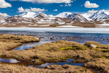 Kırgızistan 'ın Issyk Kul Bölgesinde Barskoon (Arabel) Syrts