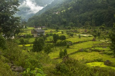 KENJA, NEPAL - CIRCA ECTOBER 2013: Kenya yolu üzerindeki köy Ekim 2013 dolaylarında, Kenya.