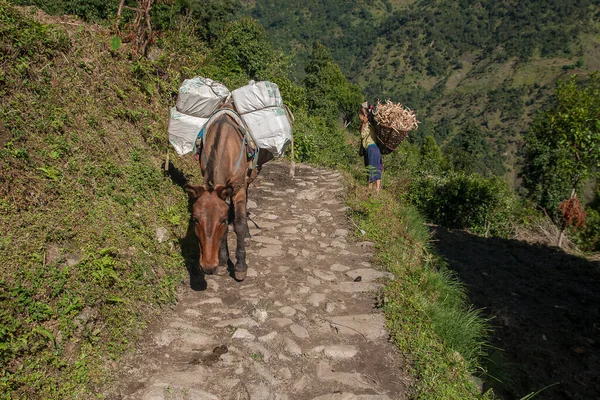 Kharikhola Nepal Circa Octubre 2013 Las Montañas Transporte Encuentra Principalmente — Foto de Stock