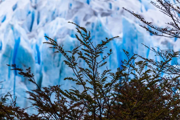 Льодовик Перито Морено Національний Парк Лос Гласіарес Аргентина — стокове фото