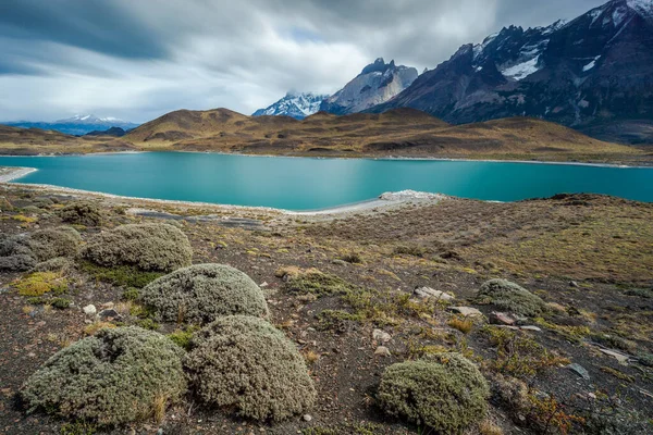 Άποψη Του Εθνικού Πάρκου Torres Del Paine Χιλή — Φωτογραφία Αρχείου