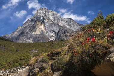 Himalayalar 'ın manzarası.