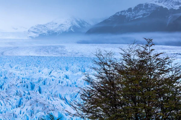 Perito Moreno Buzulu Los Glaciares Ulusal Parkı Arjantin — Stok fotoğraf