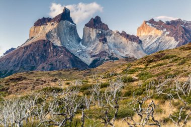 Torres Del Paine Ulusal Parkı, Şili.