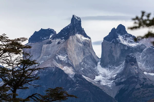 View Torres Del Paine National Park Chile — Stock Photo, Image