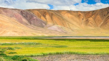 Tacikistan 'da Pamir' de Bulunkul Gölü 'nün güzel manzarası