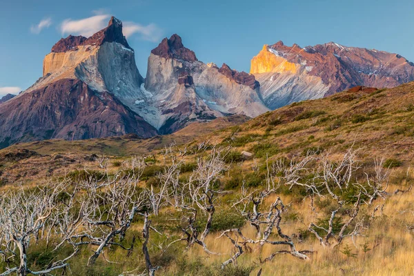 Vista Parque Nacional Torres Del Paine Chile — Fotografia de Stock