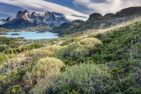 智利Torres Del Paine国家公园景观 — 图库照片