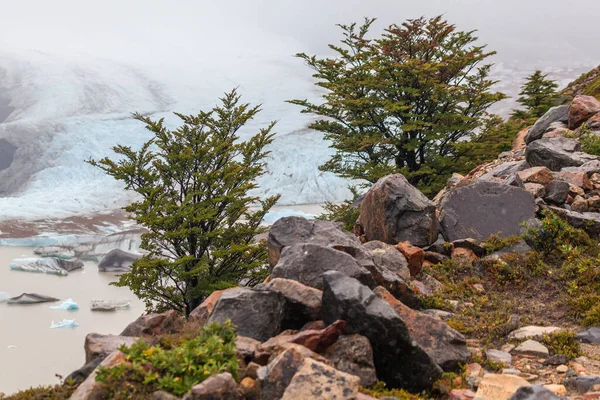 Los Glaciares Ulusal Parkı Ndaki Laguna Torre Gölü Chalten Patagonya — Stok fotoğraf