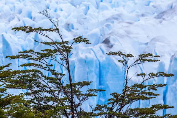 ペリト モレノ氷河 ロス氷河国立公園 アルゼンチン — ストック写真