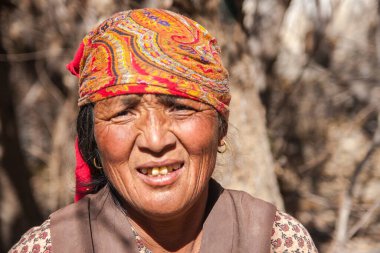 JHONG, NEPAL - CIRCA NOVEMBER 2013: Jhong köyü sakinleri Kasım 2013 dolaylarında Jhong.