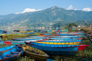 POKHARA, NEPAL - CIRCA NOVEMBER 2013: Kasım 2013 sıralarında Pokhara 'da göl manzarası.