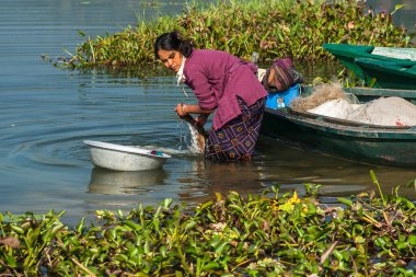 POKHARA, NEPAL - CIRCA NOVEMBER 2013: Pokhara 'da günlük yaşam Kasım 2013 sıralarında Pokhara' da.