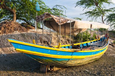 SUNDERBANS, INDIA - CIRCA NOVEMBER 2013: Kasım 2013 'te Sunderbans' ta tekne karaya oturdu.