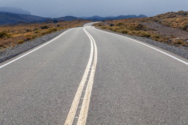 Arjantin Patagonya 'sından geçen yol manzarası.