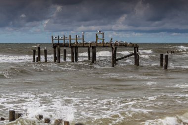 Uniescie 'deki Polonya Baltık Denizi manzarası güzelmiş..