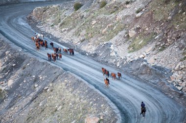 BARSKOON, KYRGYZSTAN - CIRCA HAZİRAN 2017: Issyk Kul Bölgesi 'ndeki Barskoon (Arabel) Syrts Yolu Haziran 2017.