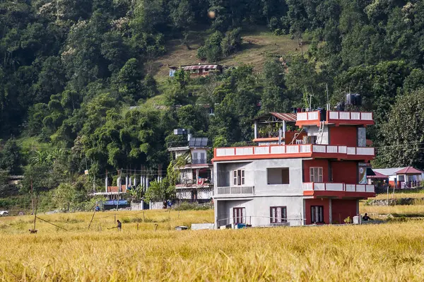 POKHARA, NEPAL - CIRCA NOVEMBER 2013: Pokhara 'da Kasım 2013 dolaylarında Nepal mimarisine örnek.