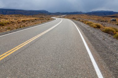 Arjantin Patagonya 'sından geçen yol manzarası.