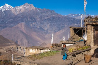 JHARKOT, NEPAL - CIRCA NOVEMBER 2013: Jharkot köyündeki evlerin üzerinde bayraklar.