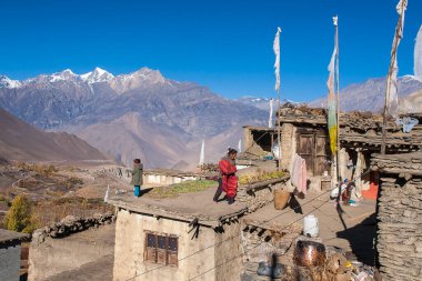 JHARKOT, NEPAL - CIRCA NOVEMBER 2013: Jharkot köylülerinin günlük yaşamı Kasım 2013 dolaylarında Jharkot 'ta.