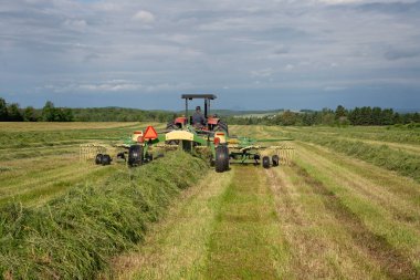Farmer raking hay in a beautiful countryside field using an agricultural rotary hay rake pulled by a red tractor. Agriculture.