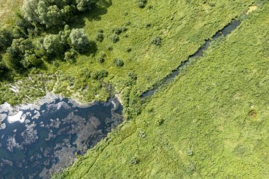 İnsansız hava aracı görüntüsü: yeşil çimlerle çevrili sakin göl, açık güneşli hava. Yansıtıcı gölü olan canlı ve sakin bir yaz manzarası, derinliği ve güzelliği ekliyor..