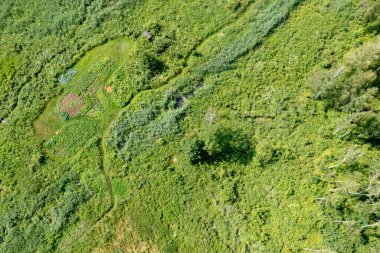 Canlı yeşil çayır, yemyeşil manzaranın doğal güzelliklerini sergileyerek çok uzaklara uzanır. Geniş yeşil çimen dinginlik yaratır ve izleyicileri doğanın sükunetini kucaklamaya davet eder..